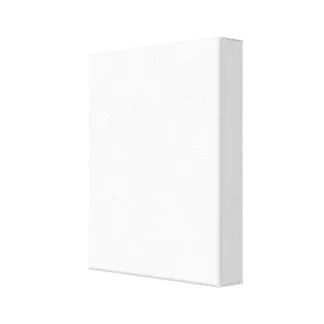 Abstract Canvas Print LeBron James Basketball Wall Art, Black and White Sports Wall Decor NBA-LJ03