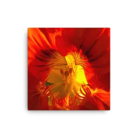 "A Very Close Look Inside" Red Orange Flower Canvas