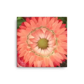 "Completing the circle inside the circle" Pink Flower Canvas