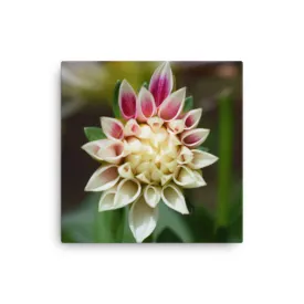 "The blends of colours harmony" Orange Flower Canvas